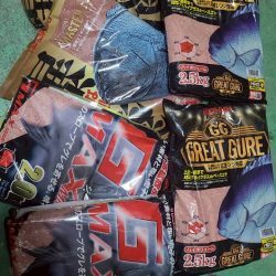 和歌山日置（三倉渡船）で磯フカセ